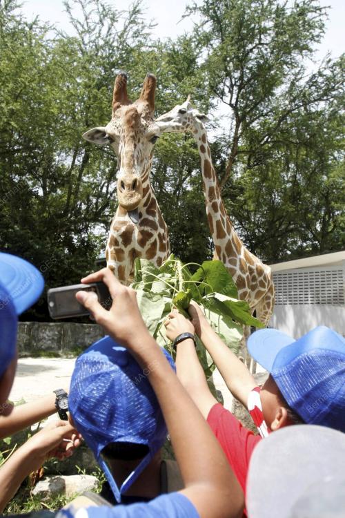 ZOO NEGARA