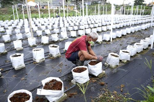 PROJEK KEBUN BANDAR HIJRAH WARRIOR