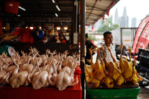 HARGA AYAM SELEPAS TAHUN BAHARU