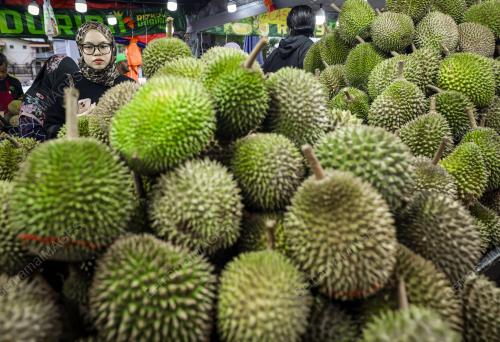 RIZKY DURIAN