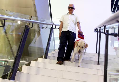 KL15_08052014_GUIDE_DOG