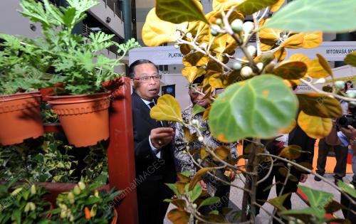 KL15_09102014_HERBA