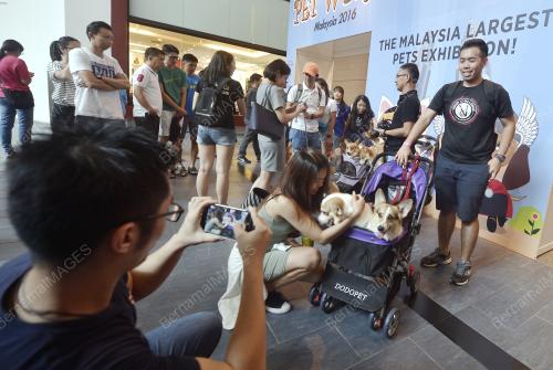 KL15_11062016_PET_WORLD