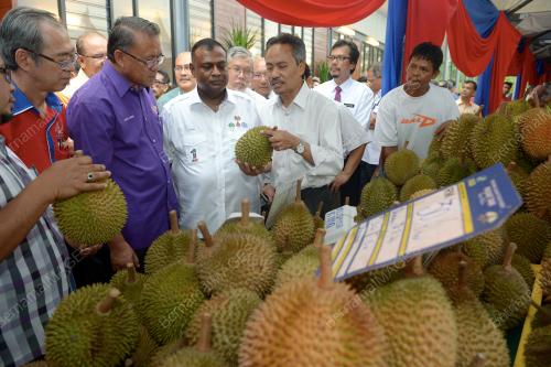 KL15_11122015_FIESTA_BUAH