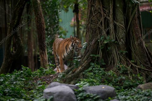 ZOO NEGARA