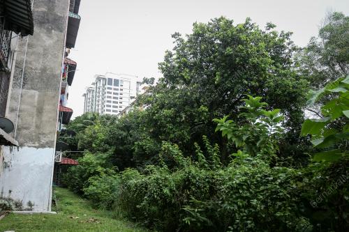 KL15_14062017_RUMAH_BN201706136865