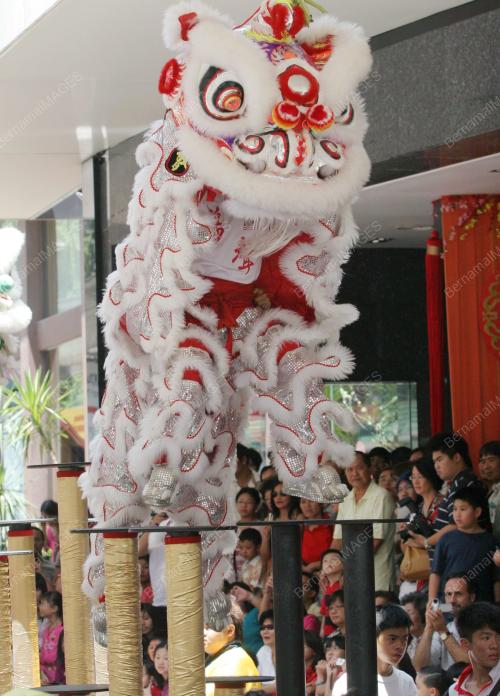 CNY_LION