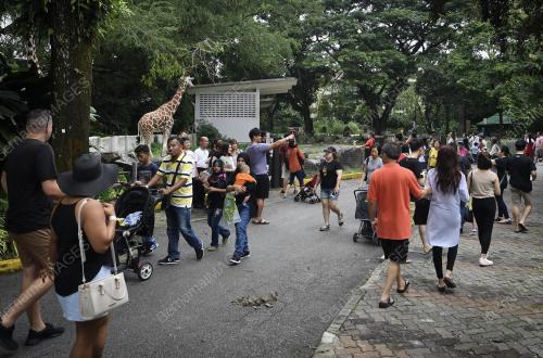 KL15_17062018_ZOO