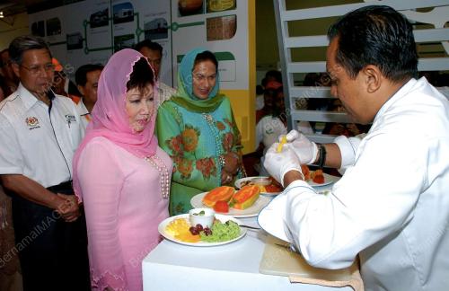 TENGKU ANIS TENGKU ABDUL HAMID