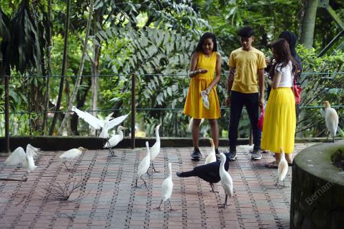 KL15_17092018_TAMAN_BURUNG