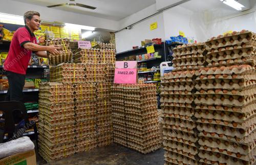 HARGA TELUR TURUN 3 SEN