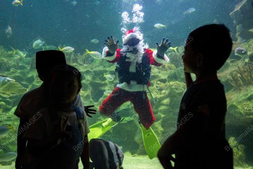 PERSEMBAHAN SANTA CLAUS AQUARIA