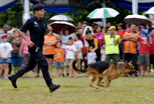 KL15_19012013_POLIS