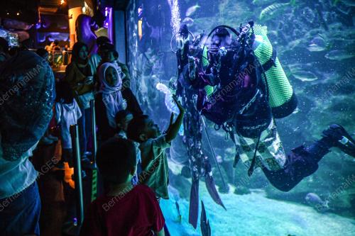 TINJAUAN AQUARIA KLCC