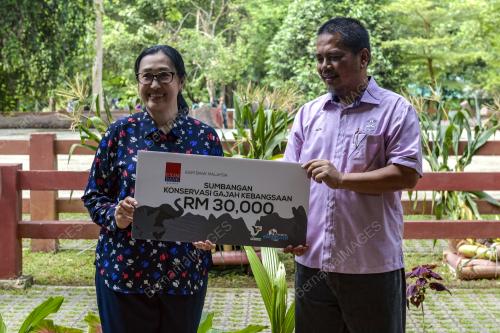 HARI GAJAH SEDUNIA