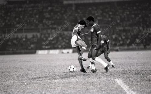BRAZILLIAN ALL STARS