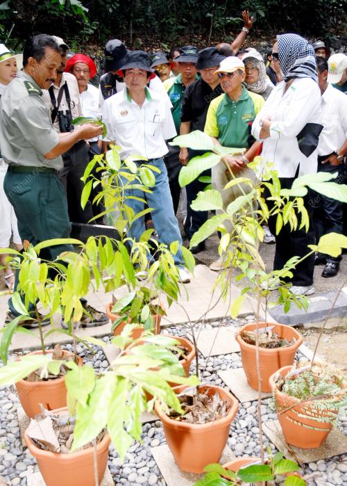 HARI PERHUTANAN KE-39