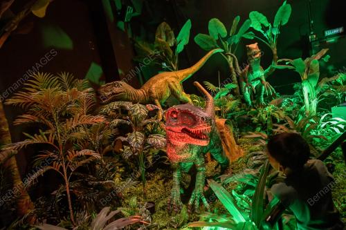 TUKANG JAHIT DINOSAUR DI PAMERAN DINOSAUR ENCOUNTER PUSAT SAINS