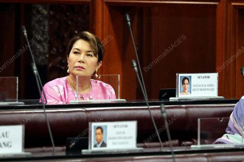 SENATOR DATUK RAS ADIBA RADZI