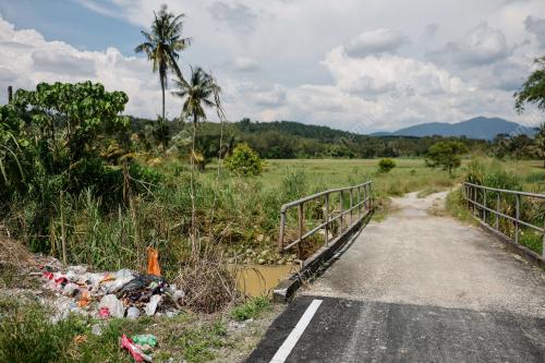 TINJAUAN PENCEMARAN SUNGAI