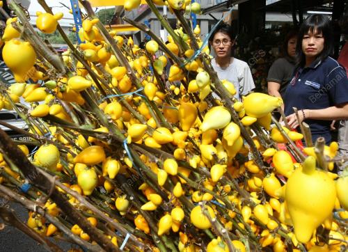 PERSIAPA TAHUN BARU CINA