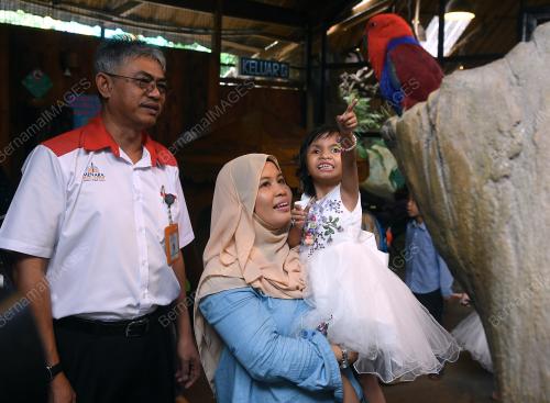 KL15_25112018_KANSER_MATA_BN201811234537