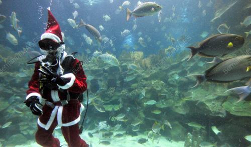 KL15_25122015_NATAL