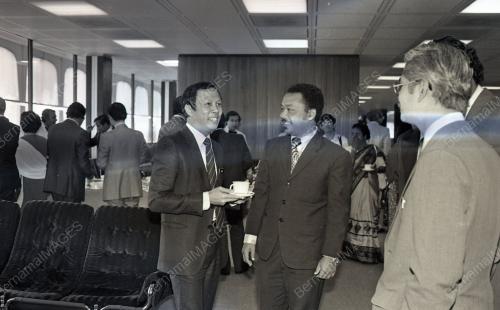 MUSA HITAM