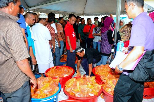 KL15_27102012_DAGING