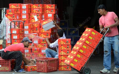 KL15_28012014_LIMAU_CINA