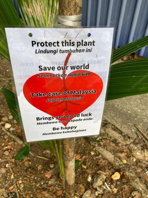 SAVE OUR WORLD