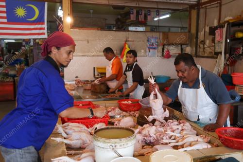 TINJAUAN HARGA AYAM