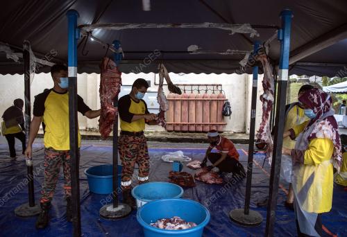 KORBAN AIDILADHA