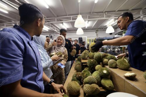 MALAM RAI MEDIA FELDA