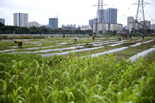 PROJEK KEBUN BANDAR HIJRAH WARRIOR