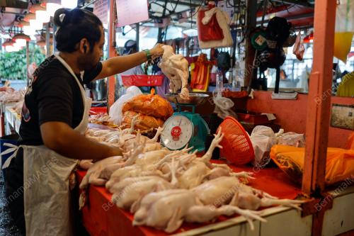 HARGA AYAM SELEPAS TAHUN BAHARU