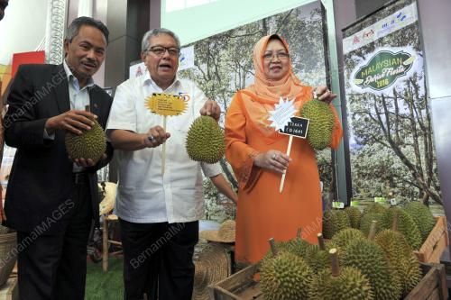 KL16_03062016_DURIAN_FAMA