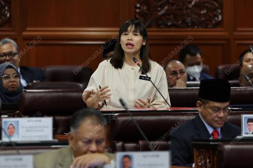 PERSIDANGAN DEWAN NEGARA