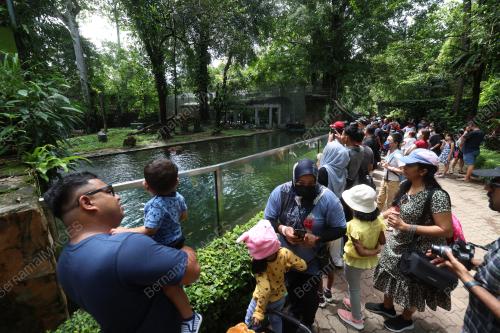 ZOO NEGARA DIPENUHI PENGUNJUNG