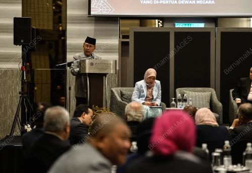TAN SRI DR RAIS YATIM