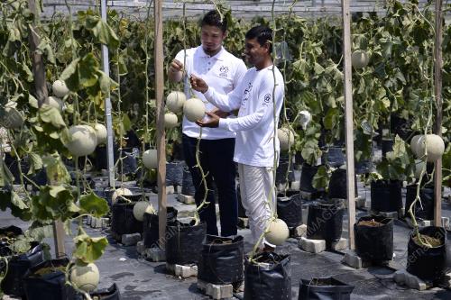 KL16_07072018_MELON_BN201807062408