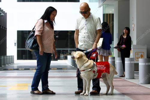 KL16_08052014_GUIDE_DOG