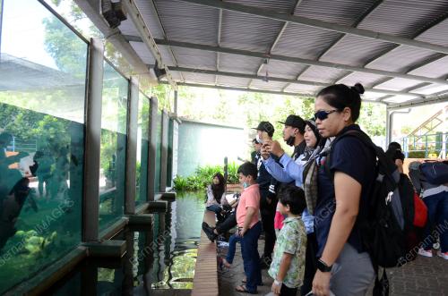 TINJAUAN DI ZOO NEGARA