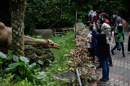 TINJAUAN PERINTAH KAWALAN PERGERAKAN BERSYARAT (PKPB)