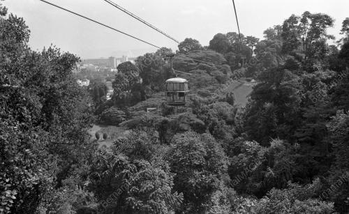 KL16_16012015_BUKIT_NANAS