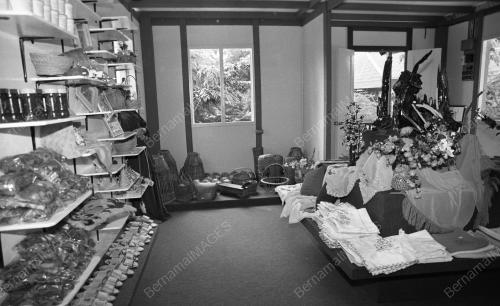 KL16_16012015_RUMAH_KARYANEKA