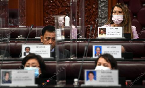 PERSIDANGAN DEWAN NEGARA