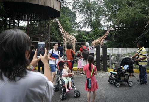 KL16_17062018_ZOO