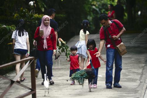 KL16_17092018_TAMAN_BURUNG
