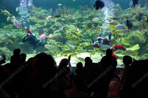 PERSEMBAHAN SANTA CLAUS AQUARIA